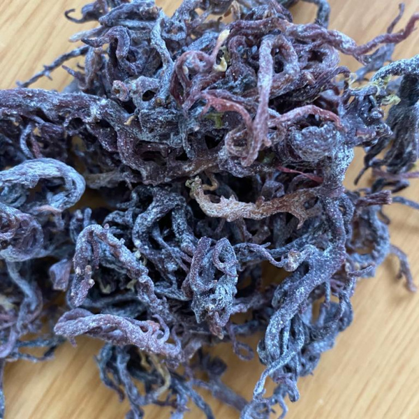 Caribbean wild crafted purple sea moss