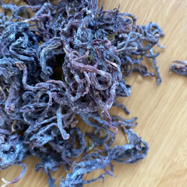 Caribbean wild crafted purple sea moss